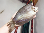 Khô cá sặc bối